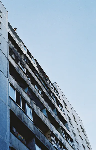 Film photograph taken on 19 August 2015