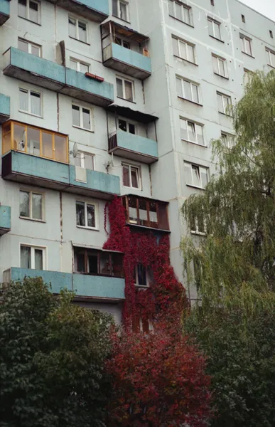 Film photograph taken on 8 November 2015