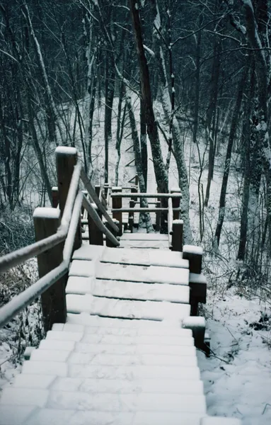 Film photograph taken on 15 March 2016