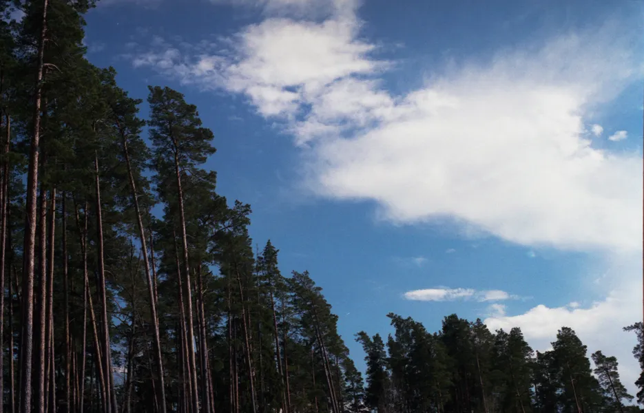 Film photograph taken on 15 June 2016