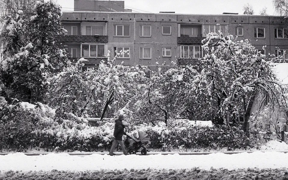 Film photograph taken on 16 January 2017