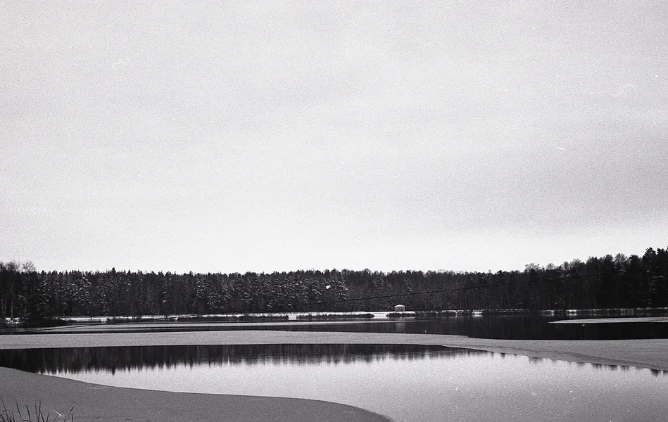 Film photograph taken on 16 January 2017