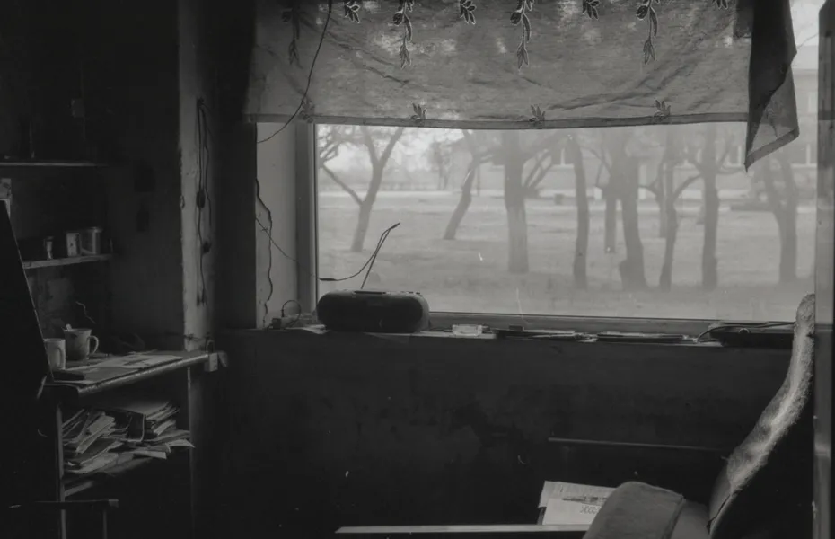 Film photograph taken on 7 September 2017