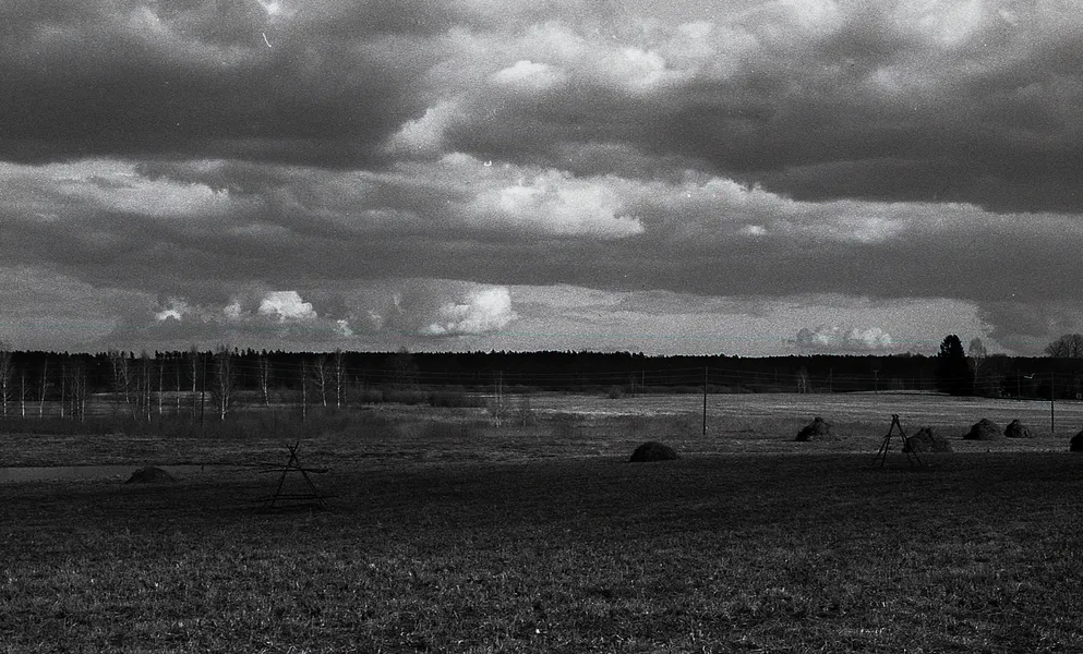 Film photograph taken on 7 September 2017
